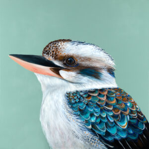 'Clifford' The Kookaburra