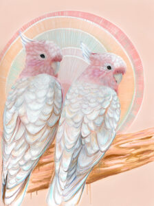 'Mitchell and Maude' Major Mitchell Cockatoo Pair