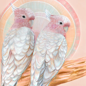 'Mitchell and Maude' Major Mitchell Cockatoo Pair