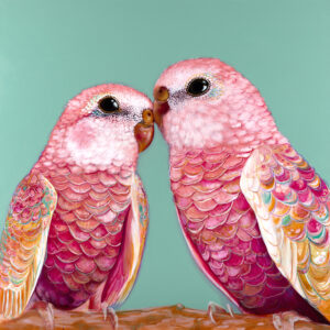 'Orville and Wilbur' Bourke's Parrots