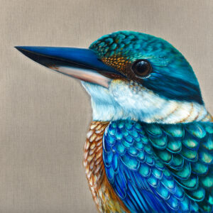 'Reef' The Sacred Kingfisher