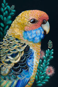 'Sunny' The Yellow Rosella