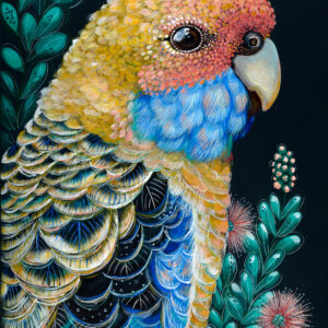 'Sunny' The Yellow Rosella