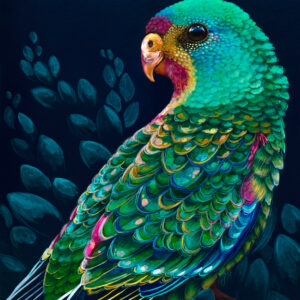 'Swifty' The Swift Parrot