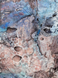 With Butterflies in Mind