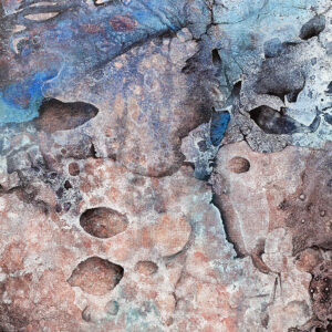 With Butterflies in Mind