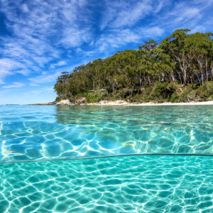 Blenheim Beach Perfection | Jervis Bay