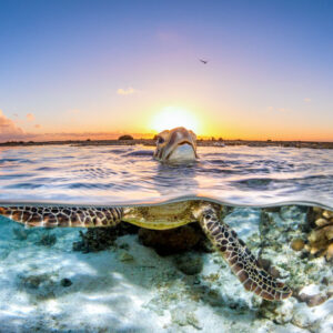 Don't Forget to Breathe