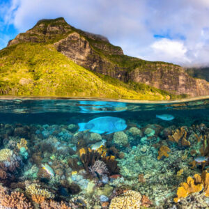 Mount Gower to the Sea | Lord Howe Island