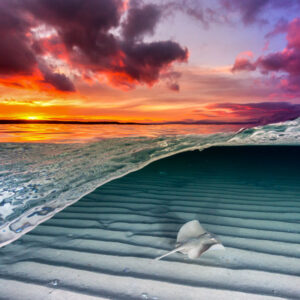 The Best of Both Worlds