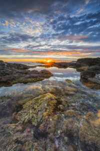 Bass Point Loader, Shellharbour NSW