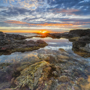 Bass Point Loader, Shellharbour NSW