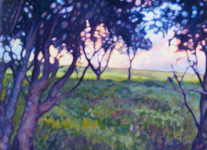 Coastal Walk at Dusk