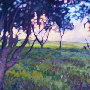 Coastal Walk at Dusk