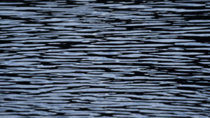 Dusk Ripples