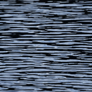 Dusk Ripples