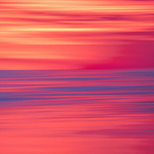 Fuchsia Sea