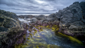 Green Island Rock Pool Action