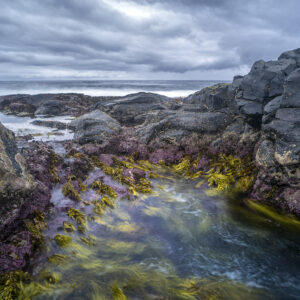 Green Island Rock Pool Action
