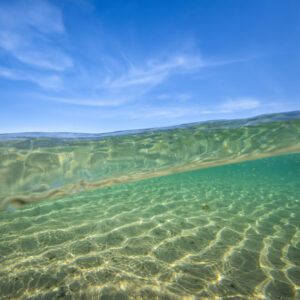 Minnamurra Clarity, Minnamurra River NSW