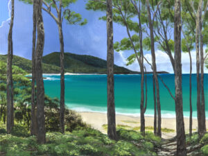 Summer Storm, Mt Durras