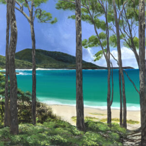 Summer Storm, Mt Durras