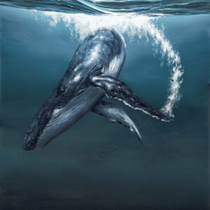 Sweeping the Surface