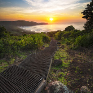 The Farm, Killalea State Park NSW