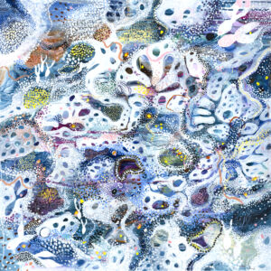 Tuesday at the Rockpool