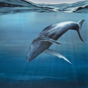 Underwater Playground