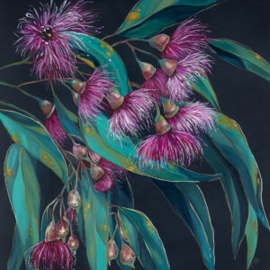 'Candy Blossoms' Flowering Gum