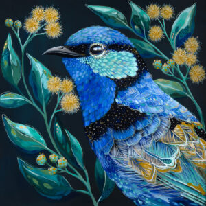 Clancy the Splendid Fairy Wren