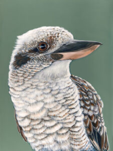'Tucker' the Laughing Kookaburra