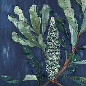 Midnight Banksia