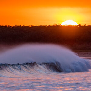 Rolled Gold on Seven Mile