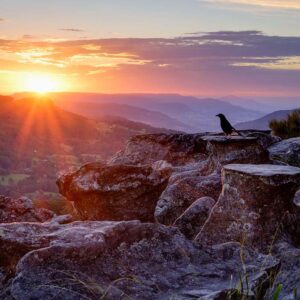 The Guardian of Drawing Room Rocks
