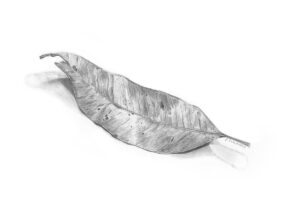 Gum Leaf